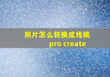 照片怎么转换成线稿 pro create